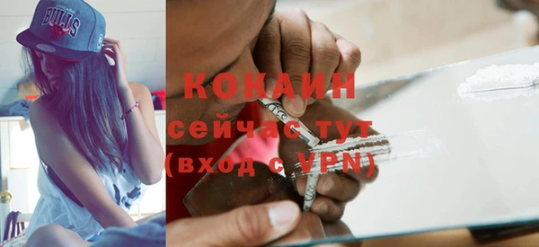 твердый Алексин