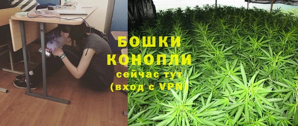 ГАЛЛЮЦИНОГЕННЫЕ ГРИБЫ Алзамай