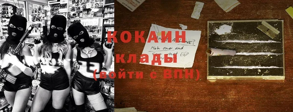 твердый Алексин
