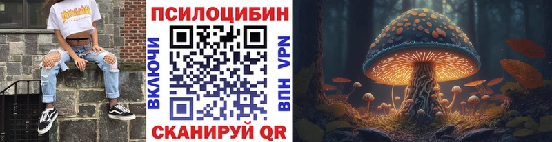 Псилоцибиновые грибы Psilocybine cubensis  наркотики  Олонец 
